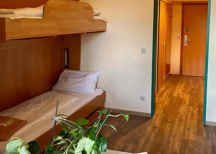 Junges Tulln - Noe Jugendherbergswerk Tulln An Der Donau