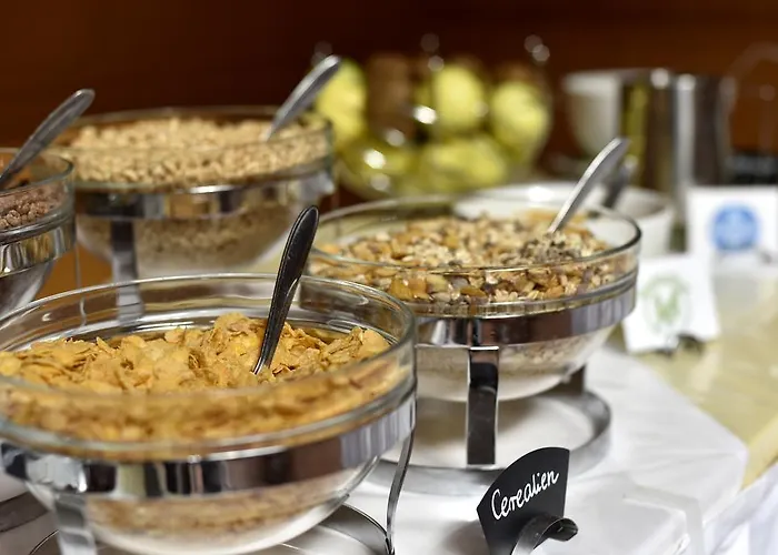 Junges Tulln - Noe Jugendherbergswerk * Tulln An Der Donau